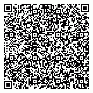 vCard 79533000397