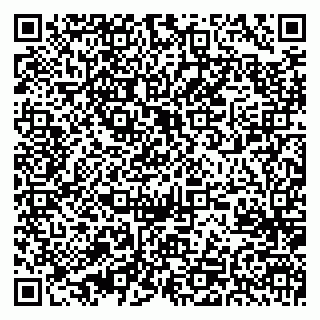 vCard 79534800139
