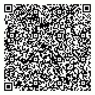 vCard 79534800174