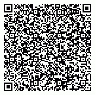 vCard 79535000539