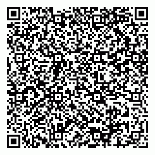 vCard 79535000739