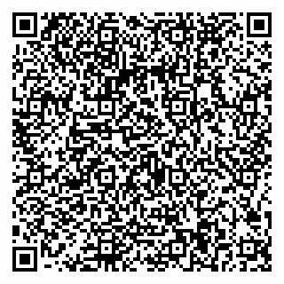 vCard 79536084031