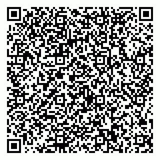 vCard 79536090297