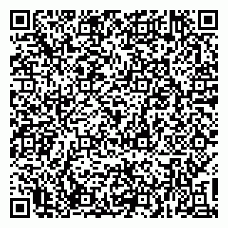 vCard 79537000413