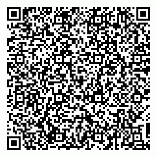 vCard 79537000527