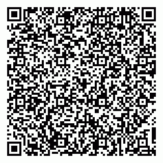 vCard 79537002539