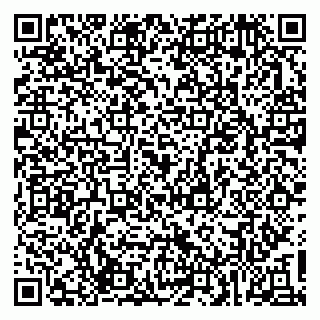 vCard 79537002739