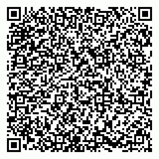 vCard 79537002939