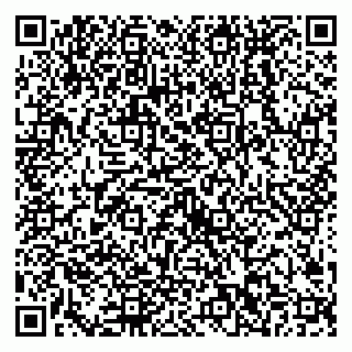 vCard 79538202433