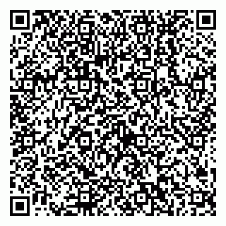 vCard 79538202447