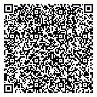 vCard 79538202485