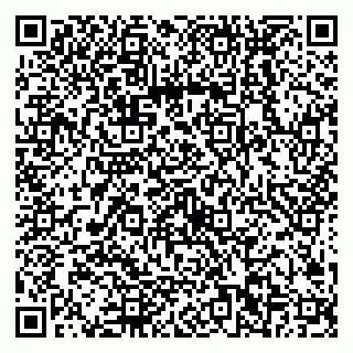 vCard 79538202489