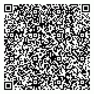 vCard 79538202490
