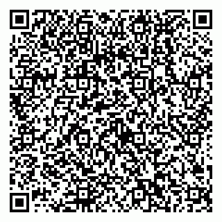 vCard 79538202497