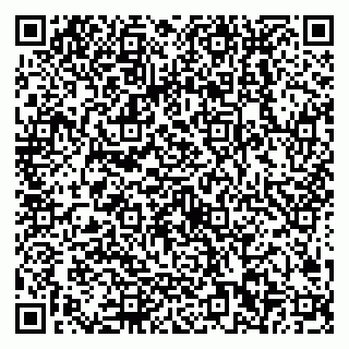 vCard 79538202498