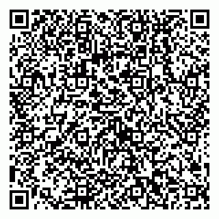 vCard 79538202503