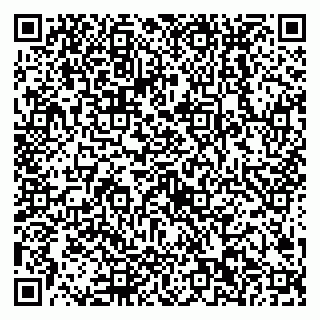 vCard 79538202504