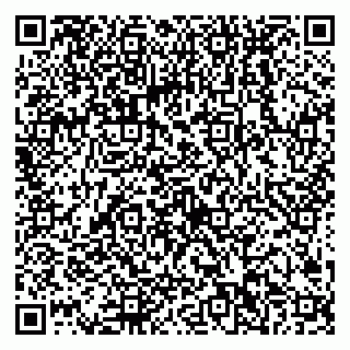 vCard 79538202505