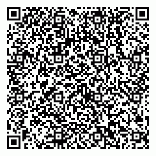 vCard 79538202507