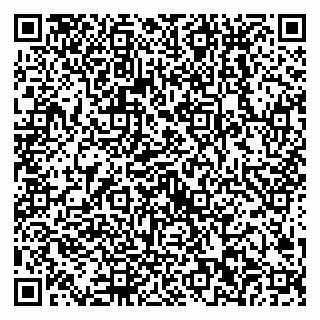 vCard 79538202510
