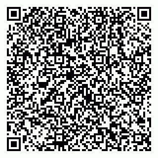 vCard 79538202511