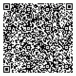 vCard 79538202513