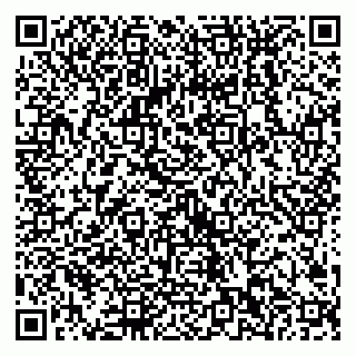 vCard 79538202514