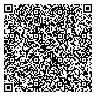 vCard 79538202517