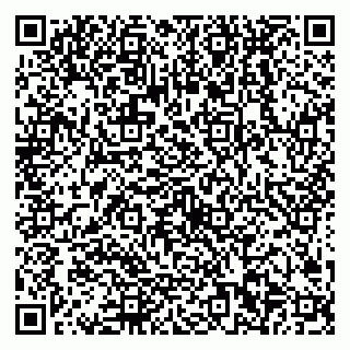 vCard 79538202528