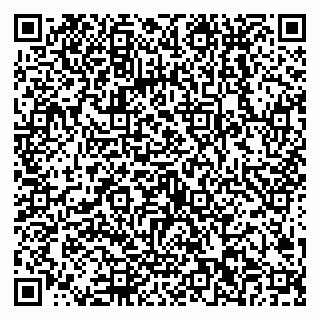 vCard 79538202531