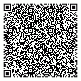vCard 79538202532