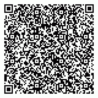 vCard 79538202537