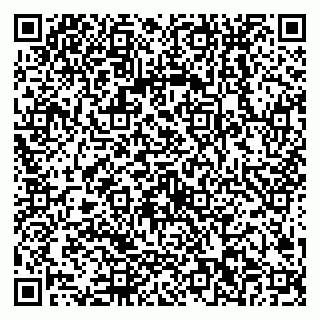 vCard 79538202541