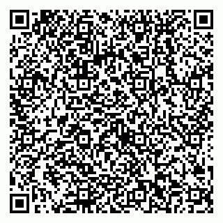 vCard 79538202551