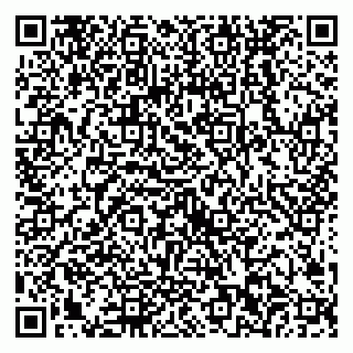 vCard 79538202560