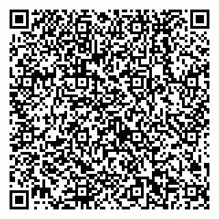 vCard 79538202579