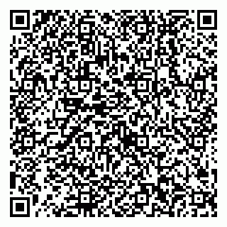 vCard 79538202580