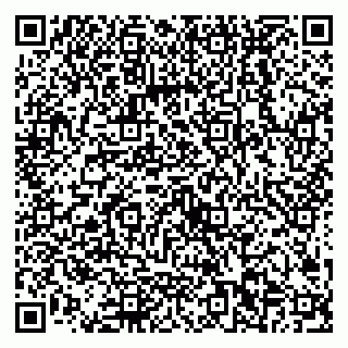 vCard 79538202589