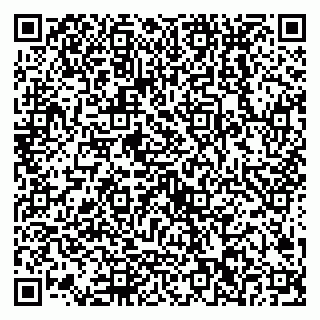 vCard 79538202601