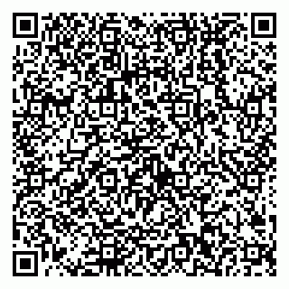 vCard 79538202602