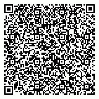 vCard 79538202607