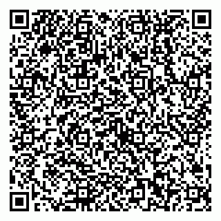 vCard 79538202608