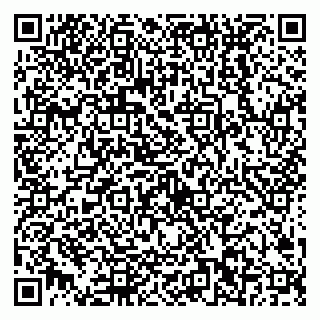 vCard 79538202609