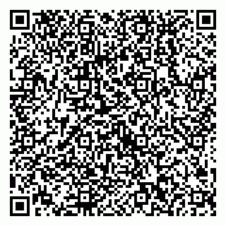 vCard 79538202612