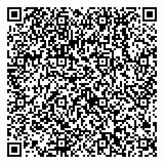vCard 79538202613