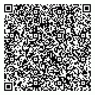 vCard 79538202617