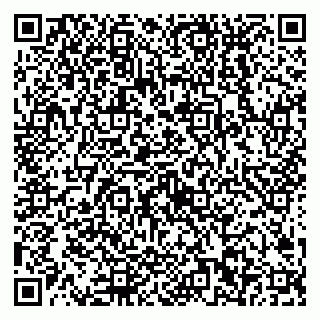 vCard 79538202618