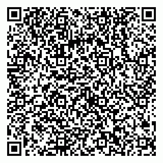 vCard 79538202624