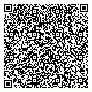 vCard 79538202629