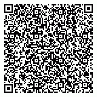 vCard 79538202631